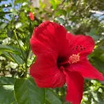 ヴィラ Mit Garten, 500 M Zum Strand, In Der Naehe Der Stadt