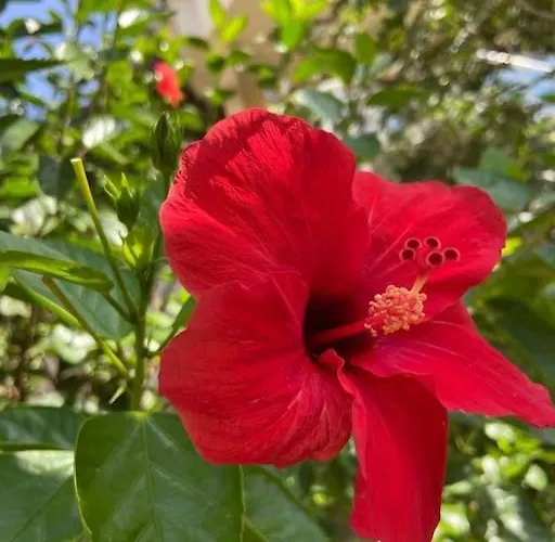 Willa Mit Garten, 500 M Zum Strand, In Der Naehe Der Stadt