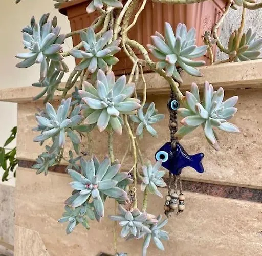 Willa Mit Garten, 500 M Zum Strand, In Der Naehe Der Stadt